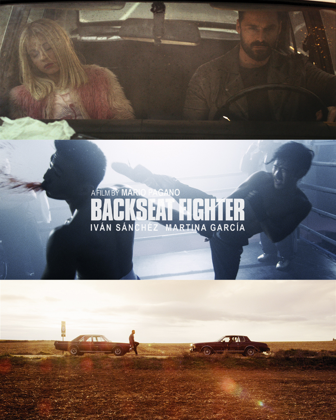 Backseat-fighterMesa de trabajo 2